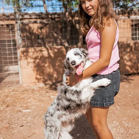 Farm stay Son Barcelo Mas Campos (Mallorca)